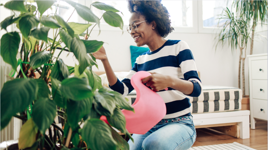Woman watering indoor plants